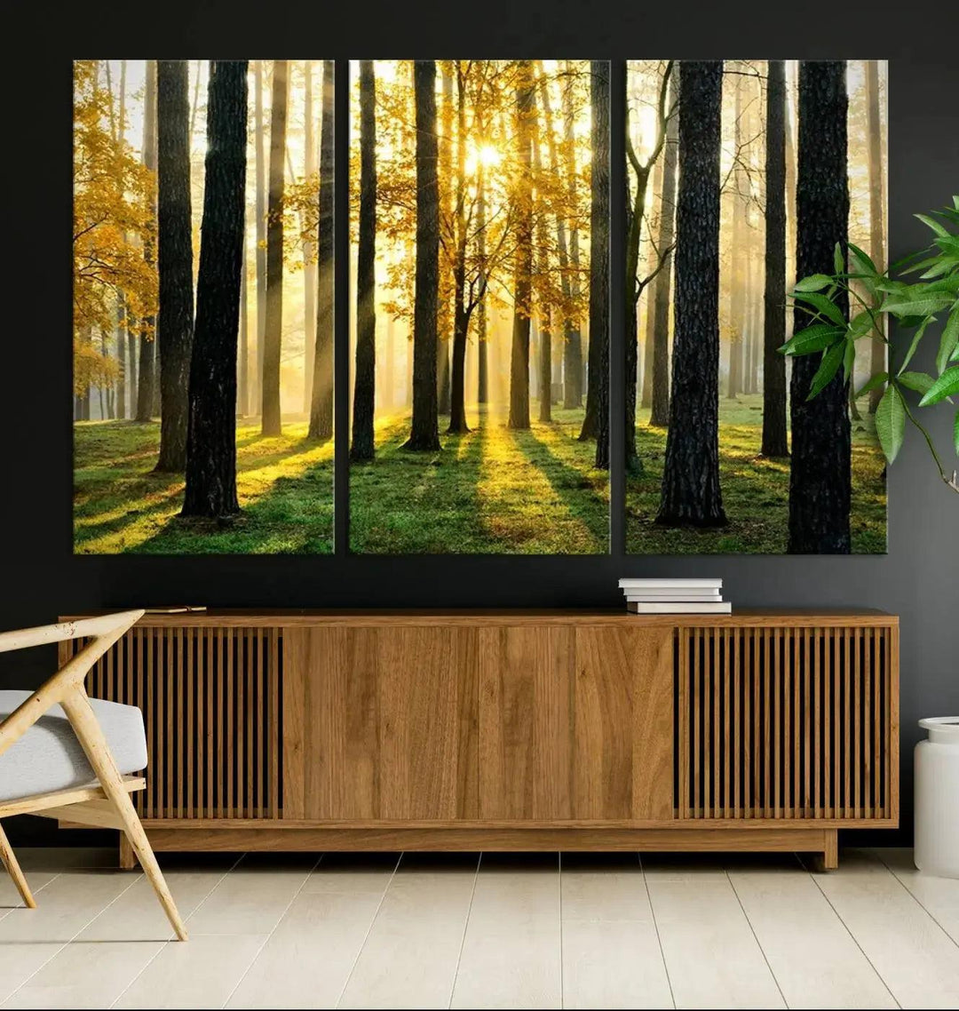 Tall Trees in Forest at Sunset Large Wall Art Landscape Canvas Print