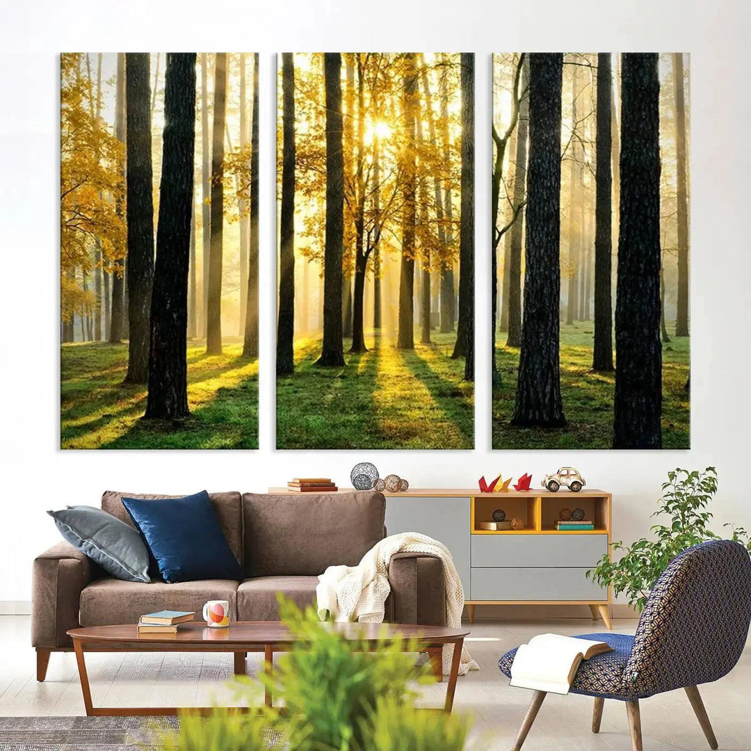 Tall Trees in Forest at Sunset Large Wall Art Landscape Canvas Print