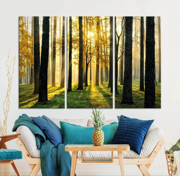 Tall Trees in Forest at Sunset Large Wall Art Landscape Canvas Print