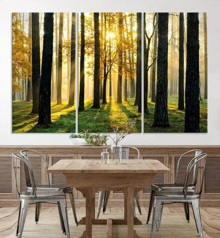 Tall Trees in Forest at Sunset Large Wall Art Landscape Canvas Print