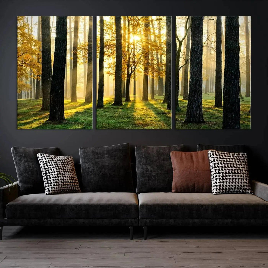 Tall Trees in Forest at Sunset Large Wall Art Landscape Canvas Print