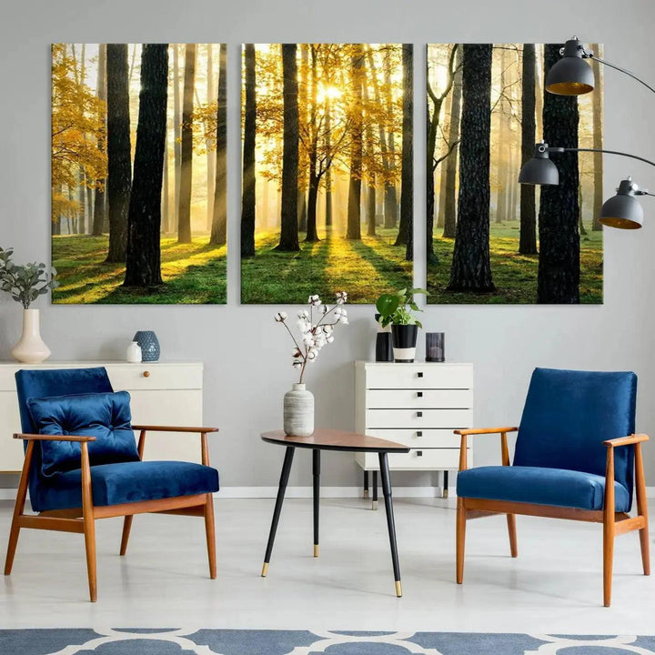 Tall Trees in Forest at Sunset Large Wall Art Landscape Canvas Print