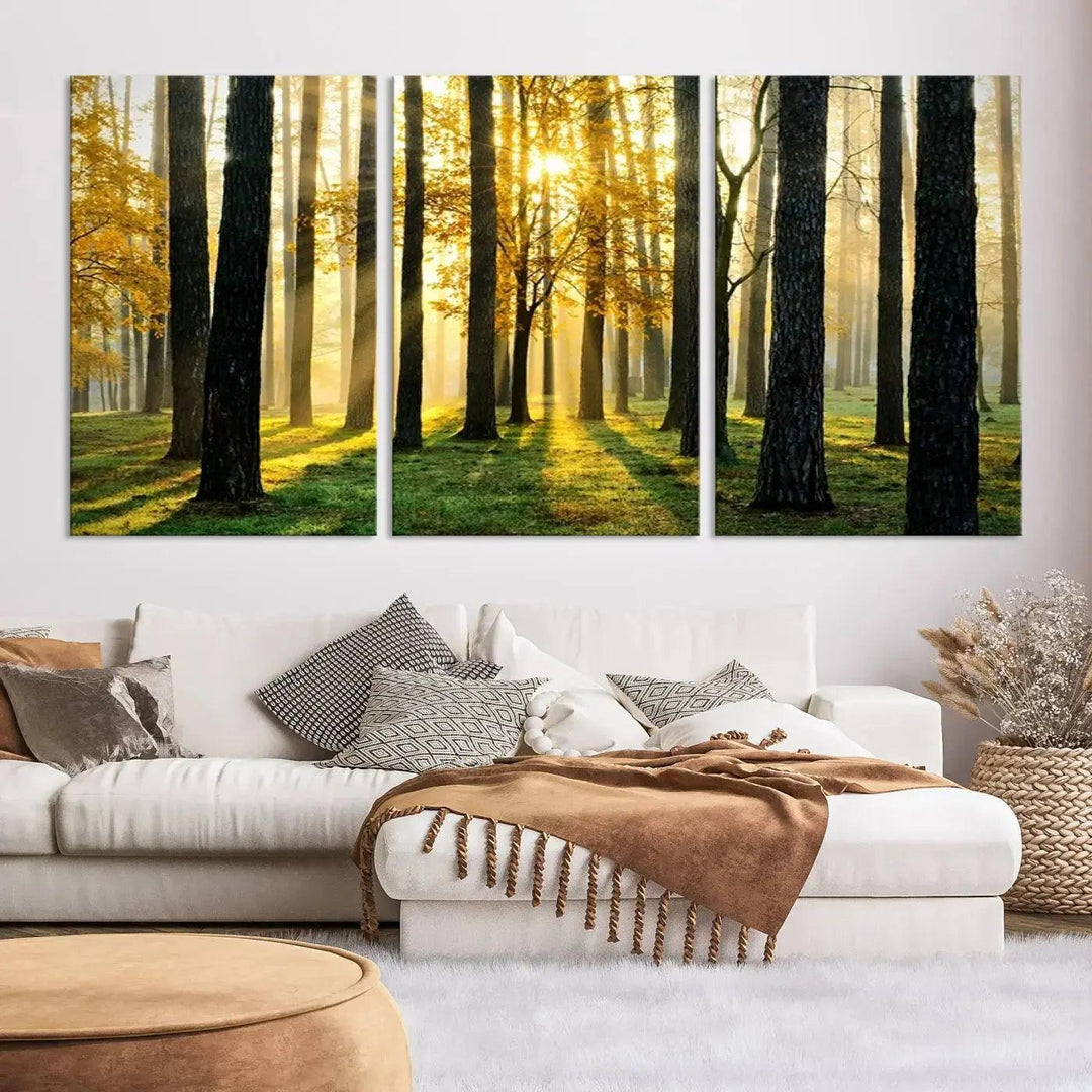 Tall Trees in Forest at Sunset Large Wall Art Landscape Canvas Print