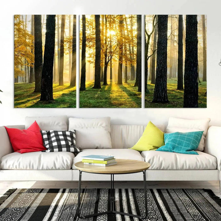 Tall Trees in Forest at Sunset Large Wall Art Landscape Canvas Print