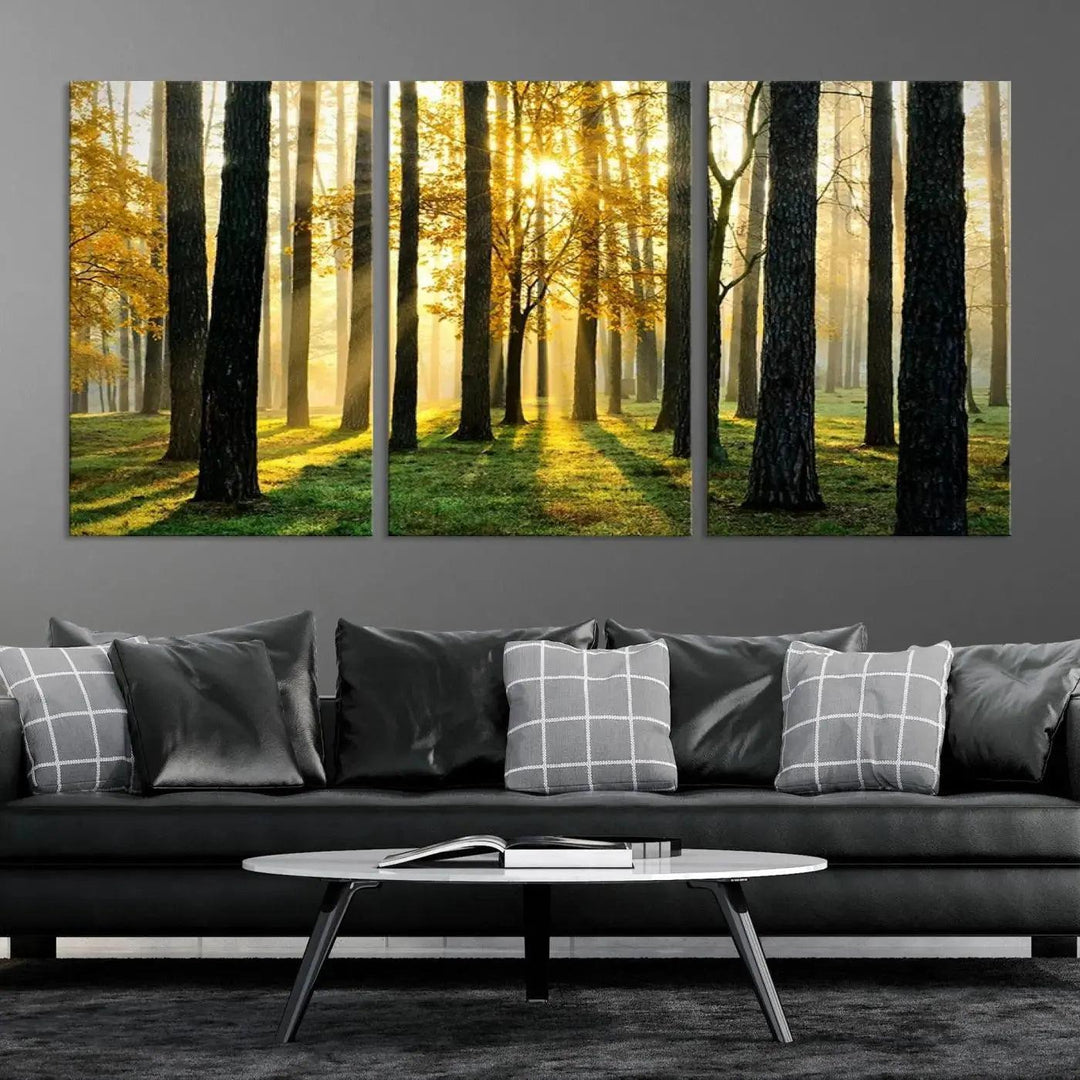 Tall Trees in Forest at Sunset Large Wall Art Landscape Canvas Print