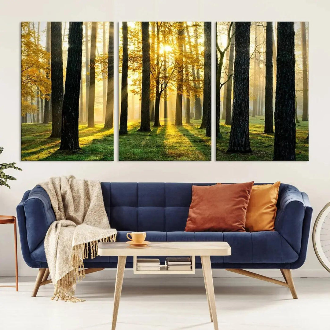 Tall Trees in Forest at Sunset Large Wall Art Landscape Canvas Print