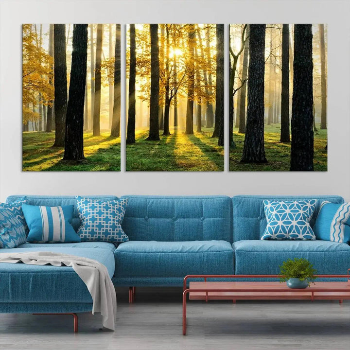 Tall Trees in Forest at Sunset Large Wall Art Landscape Canvas Print