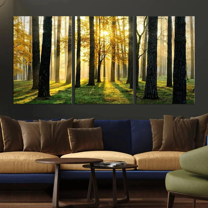 Tall Trees in Forest at Sunset Large Wall Art Landscape Canvas Print