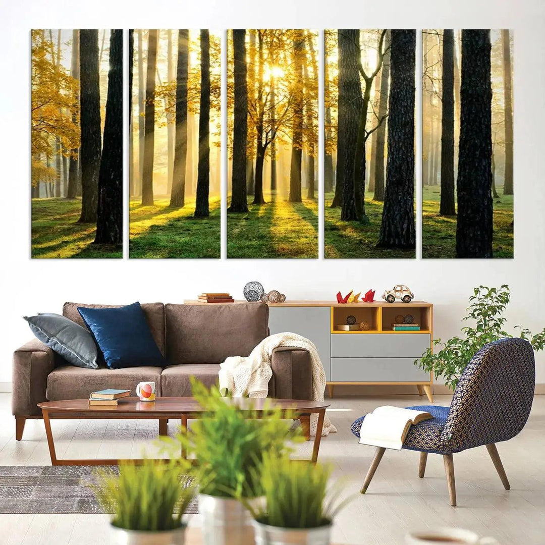 Tall Trees in Forest at Sunset Large Wall Art Landscape Canvas Print