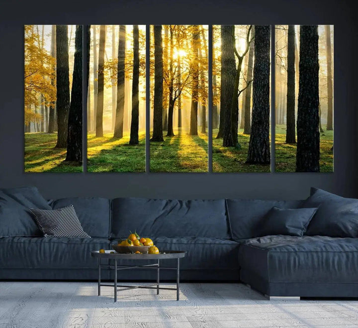 Tall Trees in Forest at Sunset Large Wall Art Landscape Canvas Print