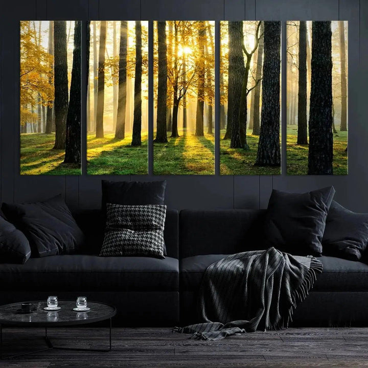 Tall Trees in Forest at Sunset Large Wall Art Landscape Canvas Print