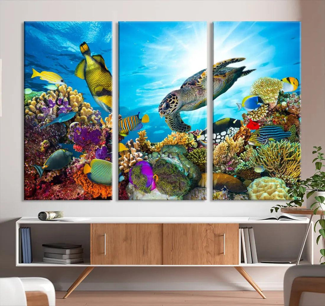 The Underwater World Sea Life Large Wall Art Canvas Print