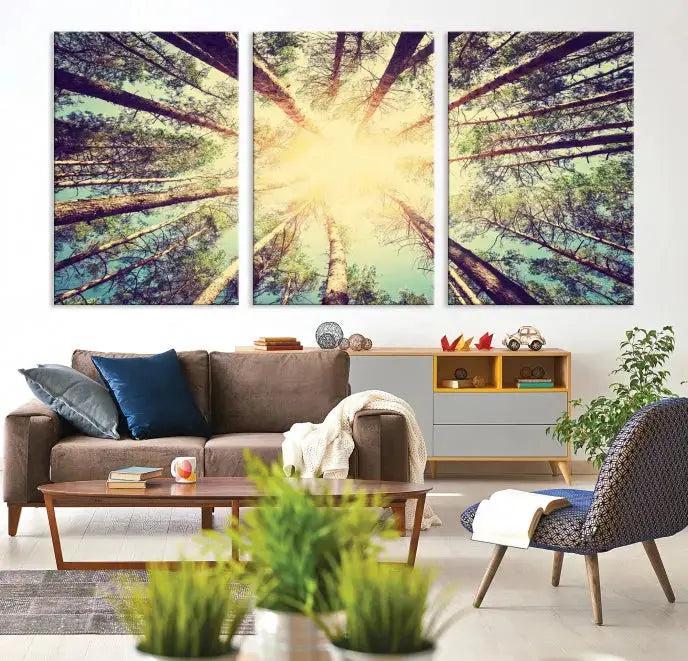 Tree Picture from Bottom Up and Forest Sunshine Canvas Wall Art Giclee Print