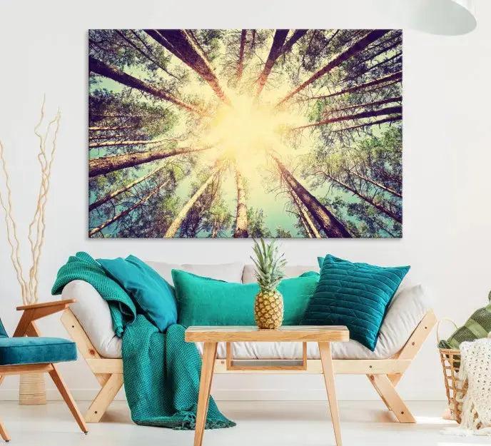 Tree Picture from Bottom Up and Forest Sunshine Canvas Wall Art Giclee Print