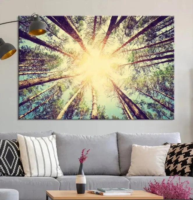 Tree Picture from Bottom Up and Forest Sunshine Canvas Wall Art Giclee Print