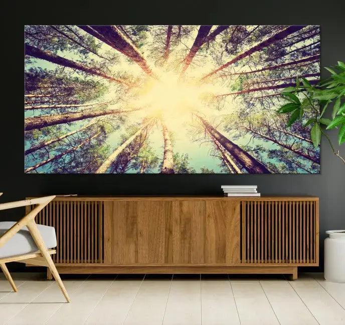 Tree Picture from Bottom Up and Forest Sunshine Canvas Wall Art Giclee Print