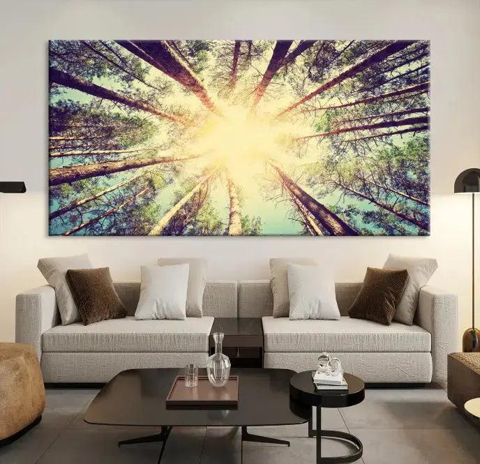 Tree Picture from Bottom Up and Forest Sunshine Canvas Wall Art Giclee Print