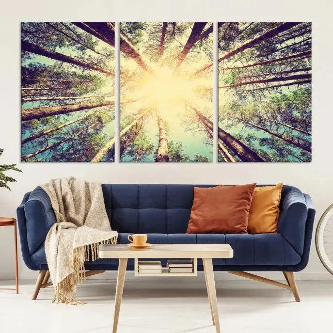 Tree Picture from Bottom Up and Forest Sunshine Canvas Wall Art Giclee Print