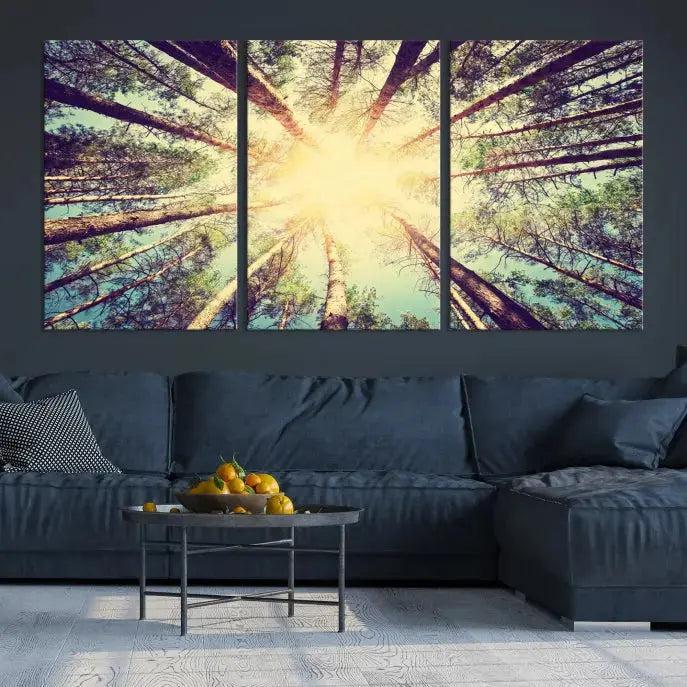 Tree Picture from Bottom Up and Forest Sunshine Canvas Wall Art Giclee Print