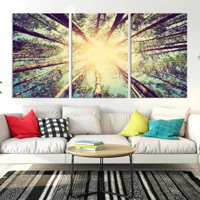 Tree Picture from Bottom Up and Forest Sunshine Canvas Wall Art Giclee Print