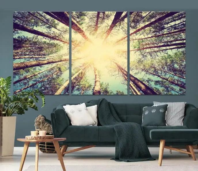 Tree Picture from Bottom Up and Forest Sunshine Canvas Wall Art Giclee Print