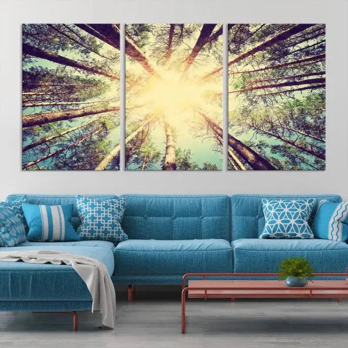 Tree Picture from Bottom Up and Forest Sunshine Canvas Wall Art Giclee Print