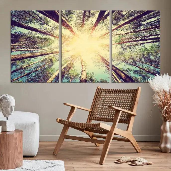 Tree Picture from Bottom Up and Forest Sunshine Canvas Wall Art Giclee Print