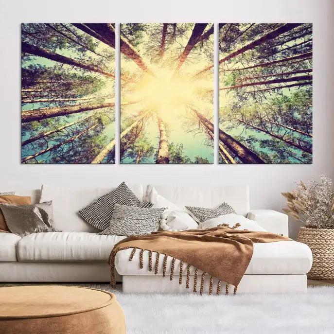 Tree Picture from Bottom Up and Forest Sunshine Canvas Wall Art Giclee Print