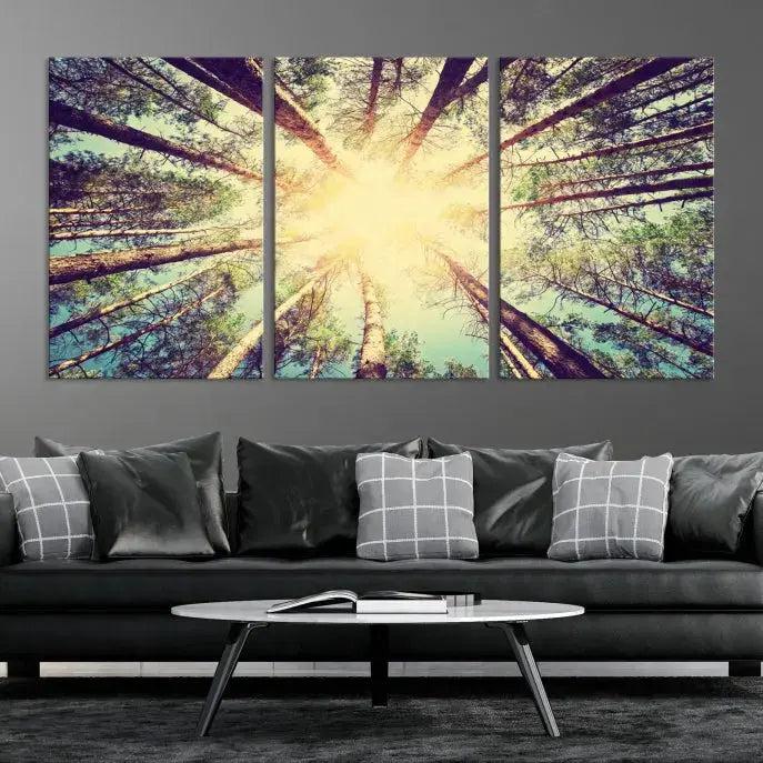 Tree Picture from Bottom Up and Forest Sunshine Canvas Wall Art Giclee Print