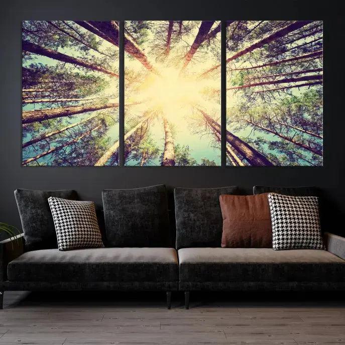 Tree Picture from Bottom Up and Forest Sunshine Canvas Wall Art Giclee Print