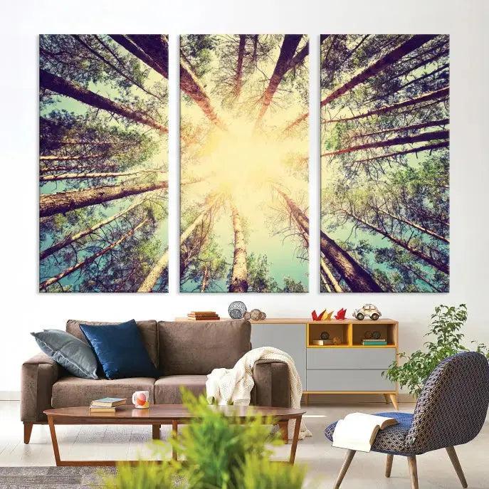 Tree Picture from Bottom Up and Forest Sunshine Canvas Wall Art Giclee Print