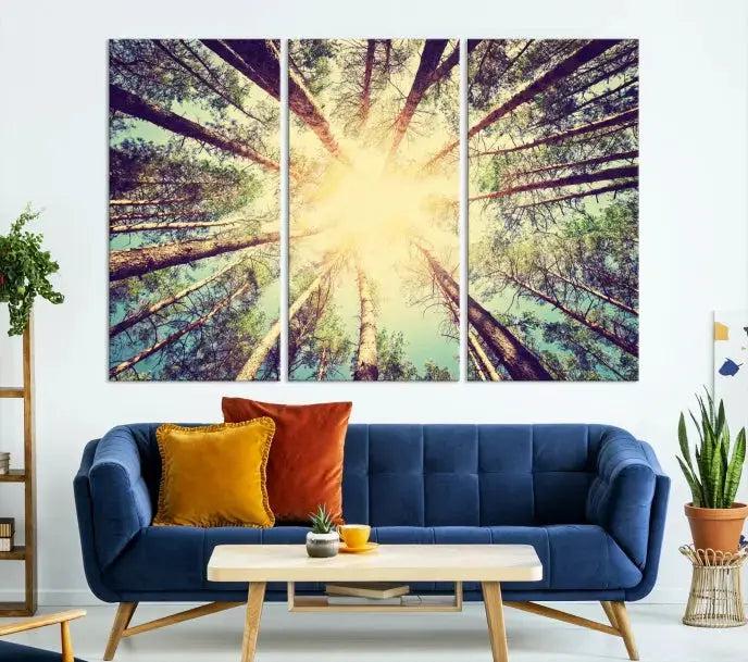 Tree Picture from Bottom Up and Forest Sunshine Canvas Wall Art Giclee Print