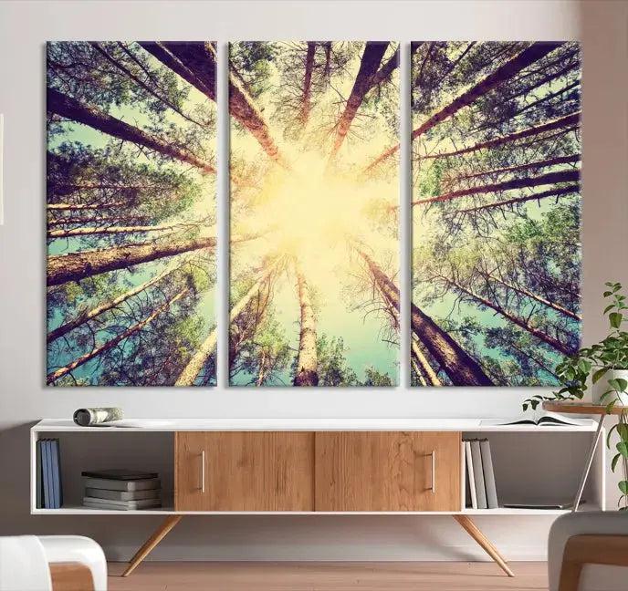 Tree Picture from Bottom Up and Forest Sunshine Canvas Wall Art Giclee Print