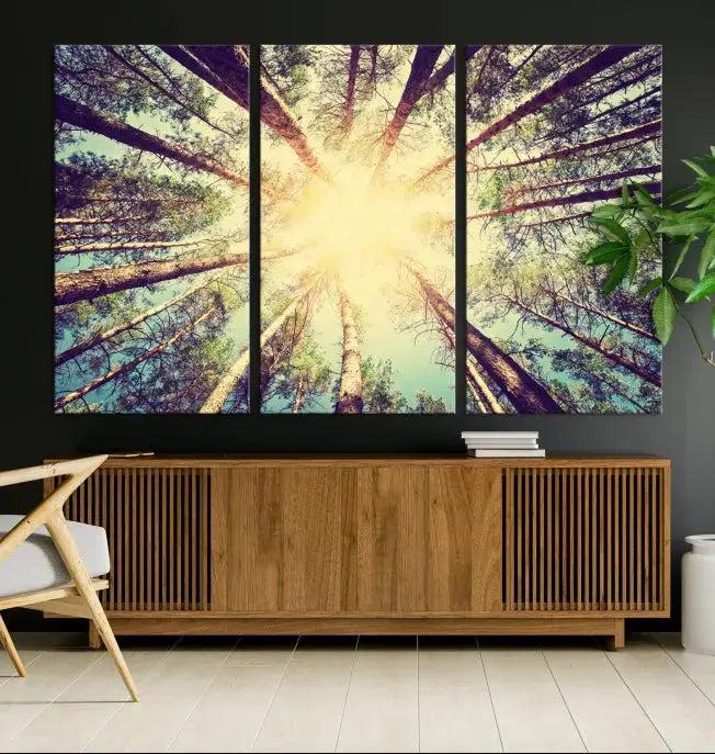 Tree Picture from Bottom Up and Forest Sunshine Canvas Wall Art Giclee Print