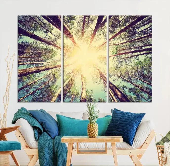 Tree Picture from Bottom Up and Forest Sunshine Canvas Wall Art Giclee Print