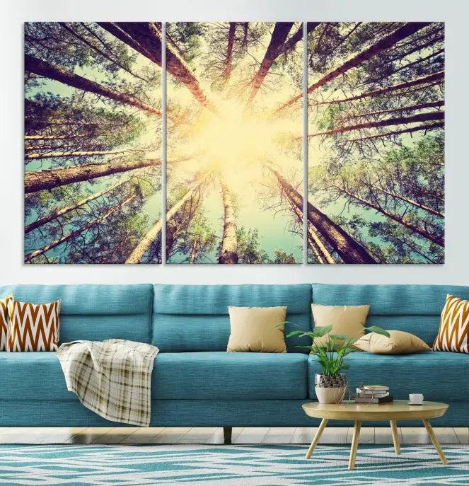 Tree Picture from Bottom Up and Forest Sunshine Canvas Wall Art Giclee Print