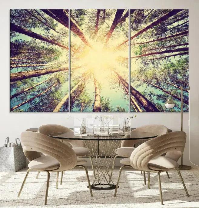 Tree Picture from Bottom Up and Forest Sunshine Canvas Wall Art Giclee Print