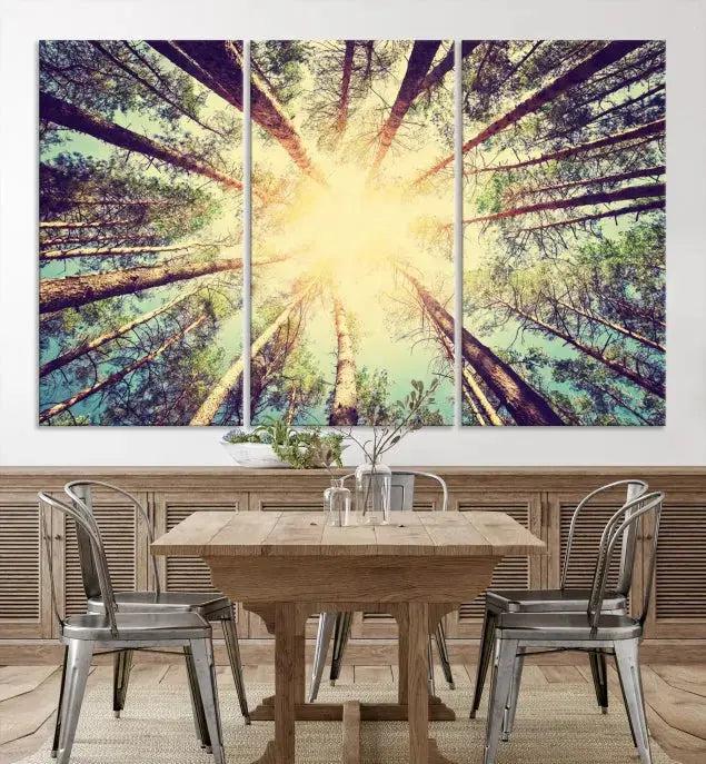 Tree Picture from Bottom Up and Forest Sunshine Canvas Wall Art Giclee Print