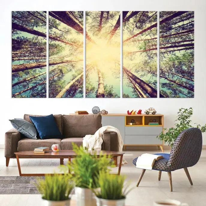 Tree Picture from Bottom Up and Forest Sunshine Canvas Wall Art Giclee Print