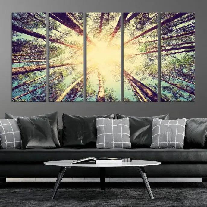 Tree Picture from Bottom Up and Forest Sunshine Canvas Wall Art Giclee Print