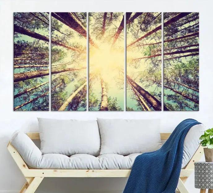 Tree Picture from Bottom Up and Forest Sunshine Canvas Wall Art Giclee Print