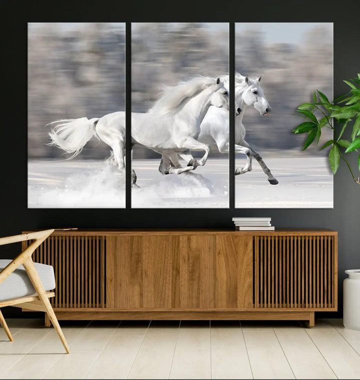 White Horses Running Poster Print on Canvas Wall Art Framed Set of