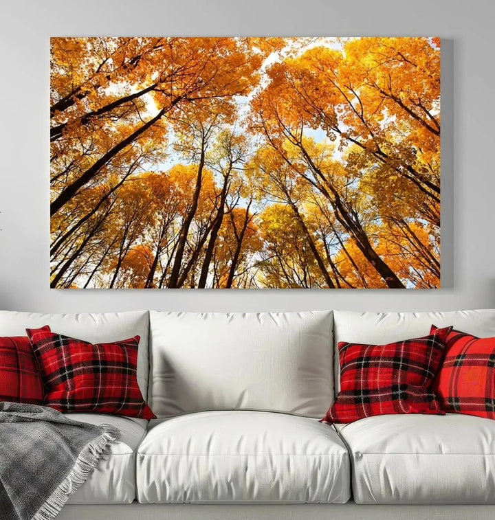 Yellow Forest and Sky in Autumn Large Wall Art Canvas Print