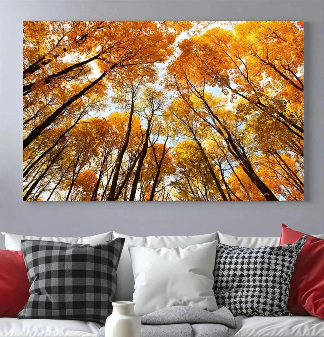 Yellow Forest and Sky in Autumn Large Wall Art Canvas Print