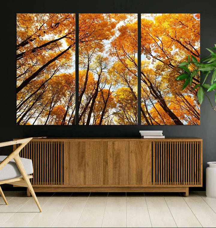 Yellow Forest and Sky in Autumn Large Wall Art Canvas Print