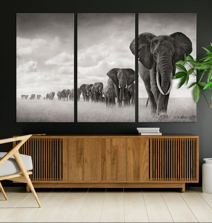 Wall Art Canvas Print