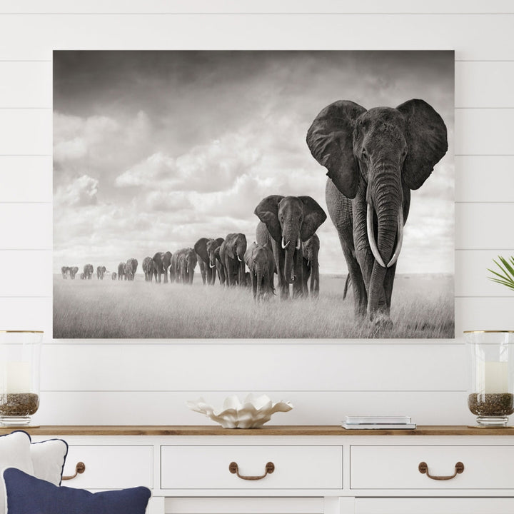 Wall Art Canvas Print