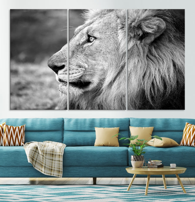 African Lion Poster Print on Canvas Extra Large Wall Art Ready to Hang