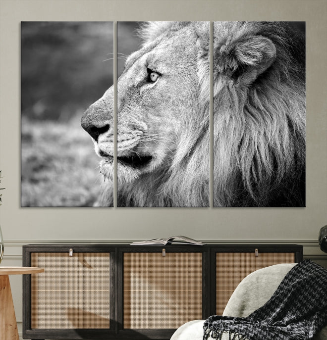 African Lion Poster Print on Canvas Extra Large Wall Art Ready to Hang