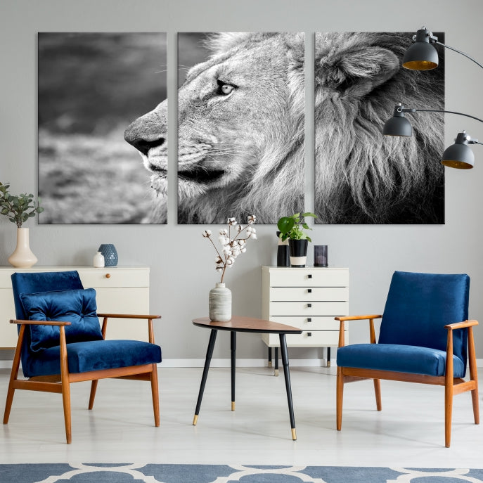 African Lion Poster Print on Canvas Extra Large Wall Art Ready to Hang